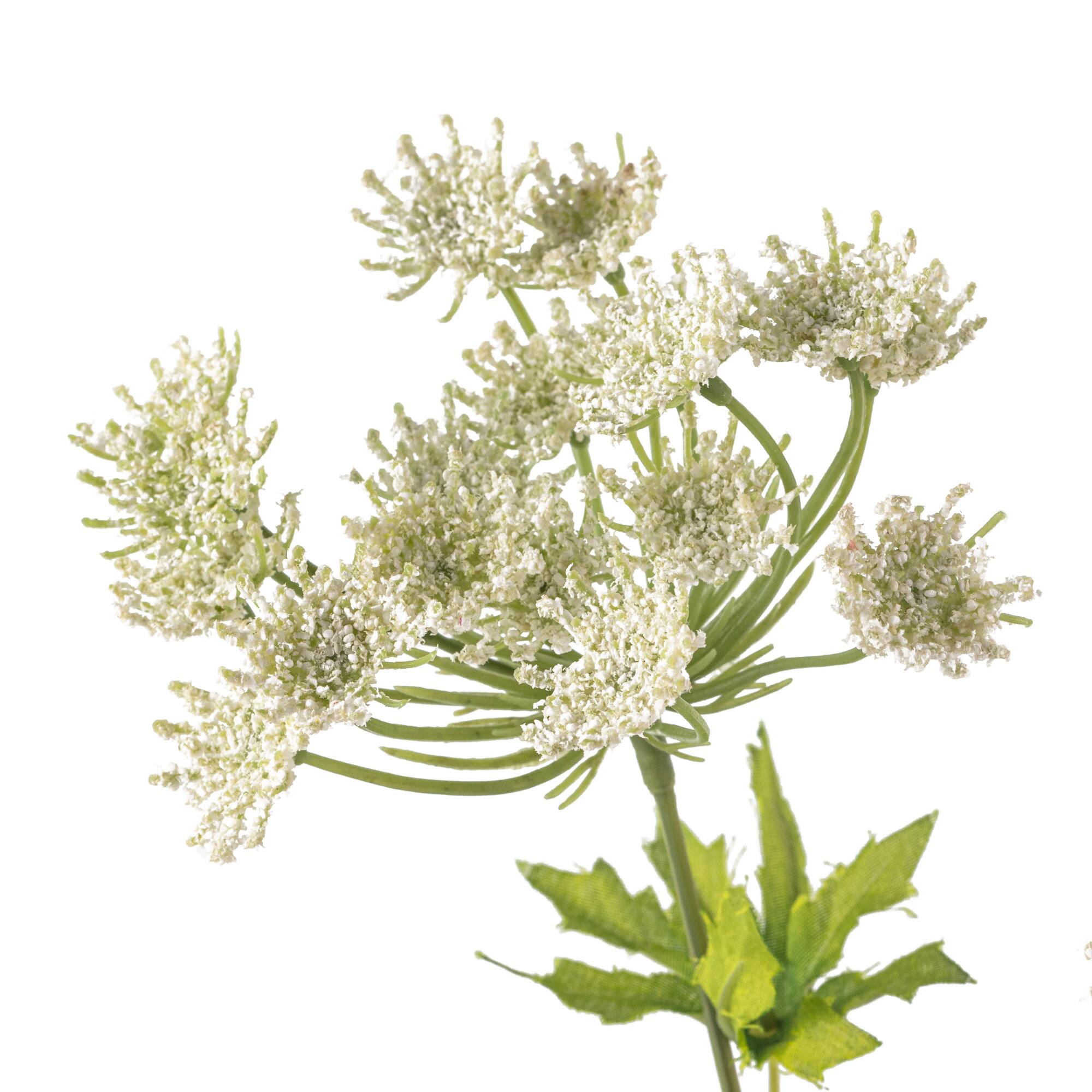 White Queen Anne's Lace Spray by Ashland®